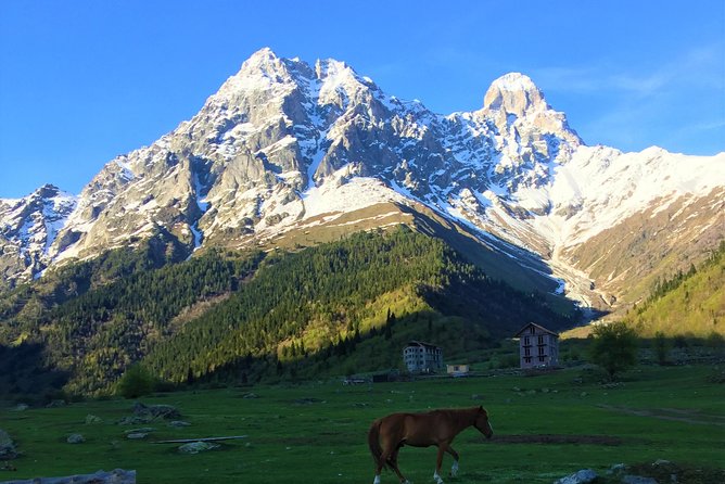Svaneti Mountain Villages 4x4 Safari, Tour From Kutaisi - Good To Know