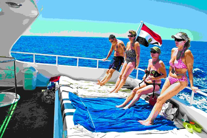 Swimming Close to Wild Dolphins From Hurghada - Key Points