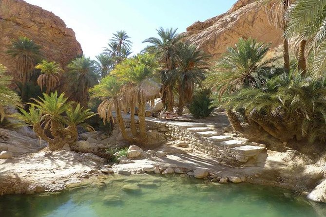 Tamerza Canyon Oasis Tour - Good To Know