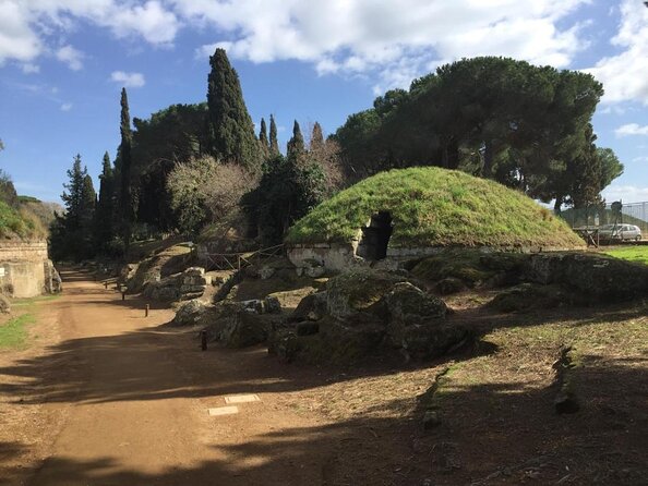 Tarquinia: Etruscan Necropolis and Museum - Private Tour - Good To Know