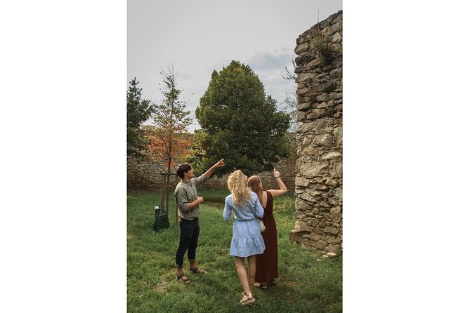 Taste Local Wines and Discover Pezinok - Activity Overview