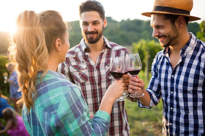 Taste + Tram the Winelands Tour: Franschhoek, Stellenbosch, Paarl - Highlights of the Experience