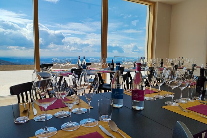Tasting of Organic Mountain Wines With Vineyard and Cellar Tour - Activity Overview