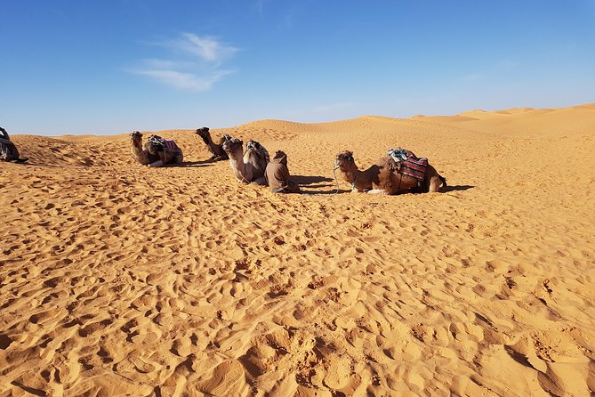 Tatouine - Cheneni - Ksar Ghuilaine - Matmata: 2 Days Visit - Good To Know