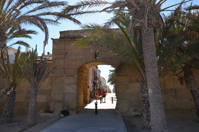 Taxi Boat Santa Pola to Tabarca Island - Viator Help Centre Inquiries