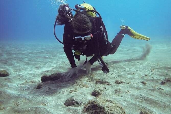Tenerife Diving Course for Beginners With Two Dives - Good To Know