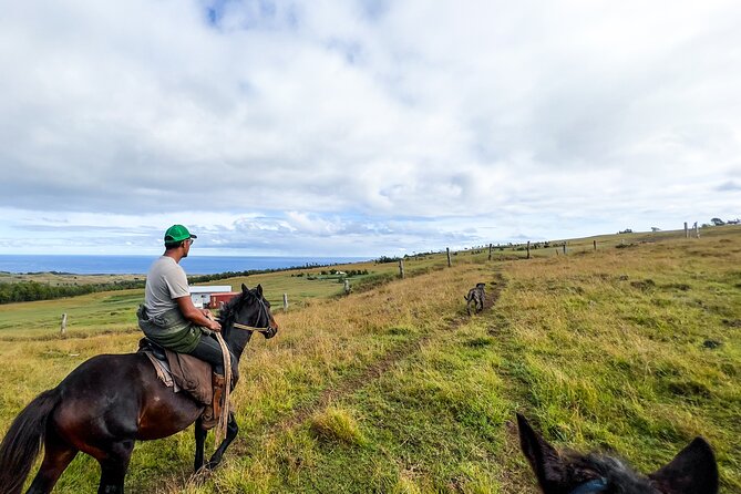 Terevaka Private Tour to the Highest Point of Rapa Nui - About Your Stay