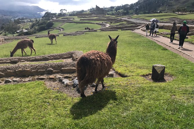 The Best of Ingapirca: an Adventure to the Ecuadorian Machu Picchu - Good To Know