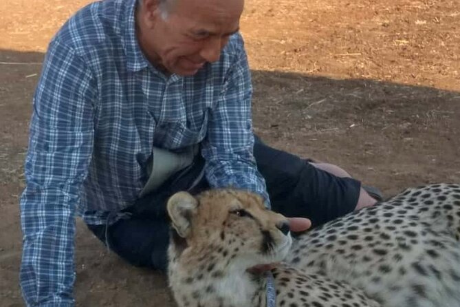 The Cheetah Experience - Key Points