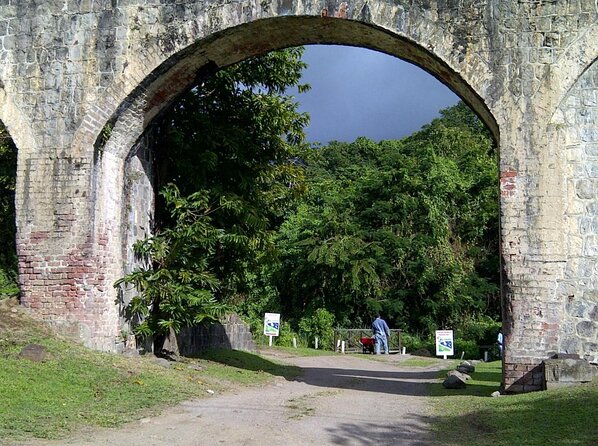 The Kittitian Rainforest Adventure (with Snacks) - Key Points