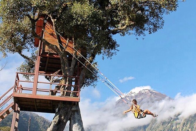 The Tree House Swing of the End of the World - Good To Know
