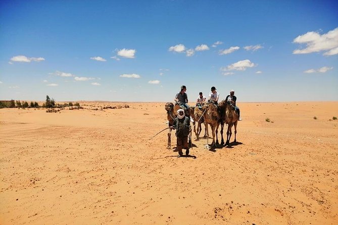 The Wonders of Tunisia: 8 Days / 7 Nights - Discovering Tunisian Architecture and Culture