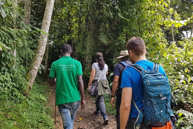 Three-day Nyungwe Canopy and Kivu Lake Adventure - Tour Overview