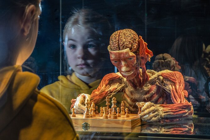Ticket Expo Body Worlds Review: A Fascinating Experience - Key Points
