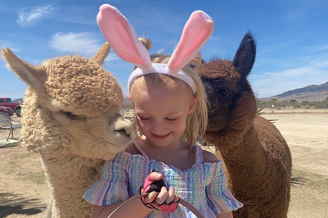 Tickets to Nature Health Farms Petting Zoo, Antique Store & Hemp Farm in Pahrump - Good To Know