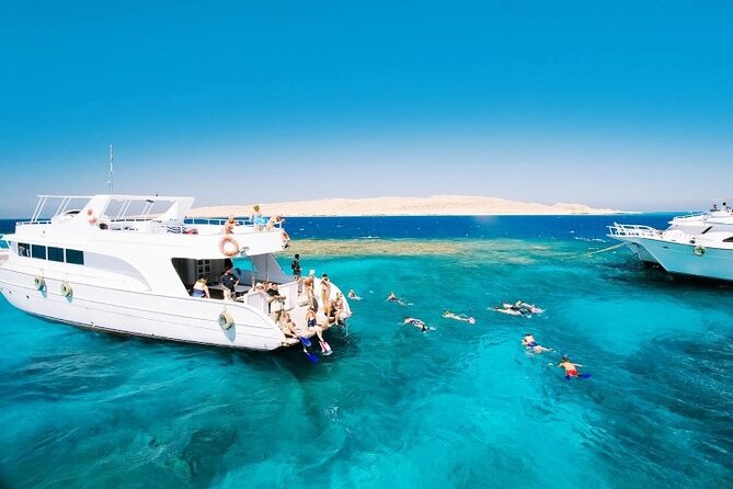 Tiran Island Snorkeling Trip by Boat From Sharm El Sheikh - Key Points