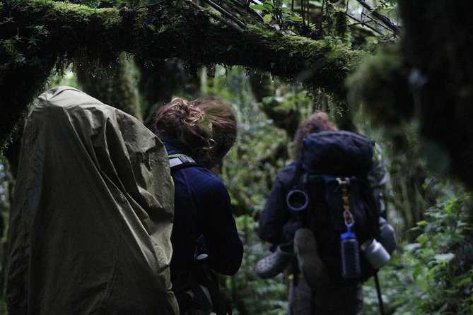 Toliman Volcano Hike - Good To Know