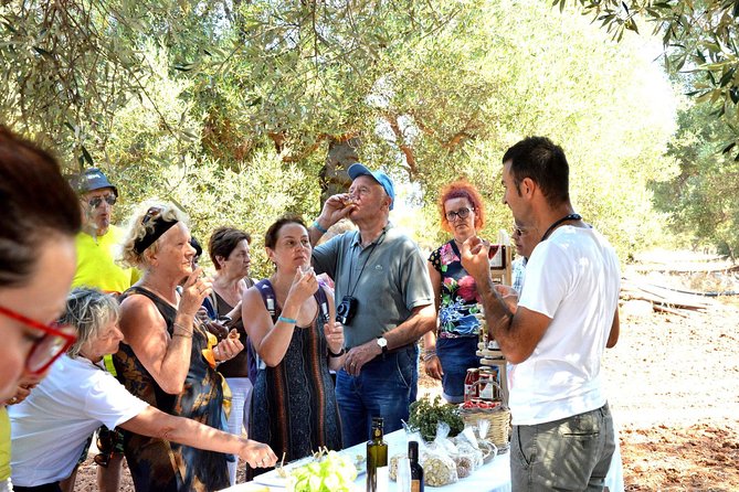 Torre Guaceto Olive Tree Tour Review - Key Points
