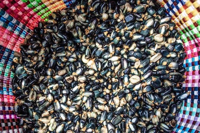 Tortillas, Nixtamal and Salsas Workshop - Key Points