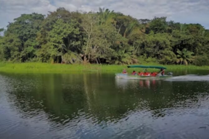 Tour Gatun Lake Wildlife Monkey Watch and Sloth Sanctuary - About Your Stay