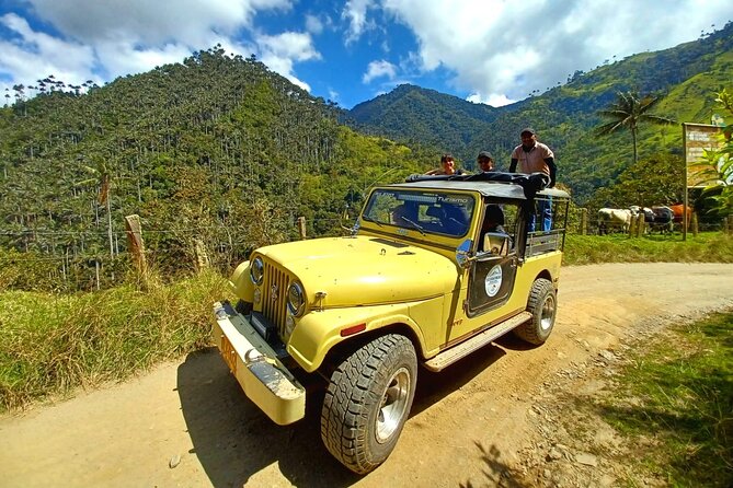 Tour La Carbonera. a Large Forest of Wax Palms - About Your Stay