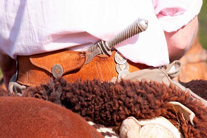 Traditional Gaucho Festival Full Day Tour From Buenos Aires - About Your Stay
