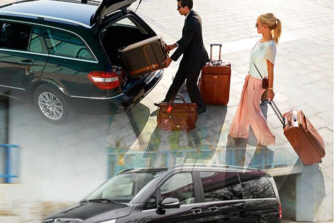 Transfer Civitavecchia Port To/From Venice Optional Florence Stop - Vehicle and Driver Details