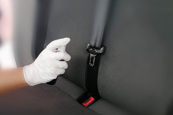 Transfers in Private Minivan Wi Fi on Board - Key Points