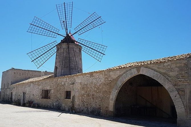 Trapani Salt Pans Private Tour Review - Key Points