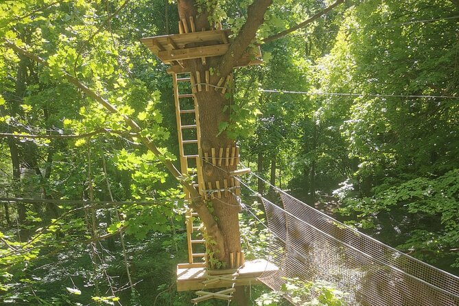 Treetop Adventure Course in the Heart of Poissy - Overview of the Treetop Adventure Course