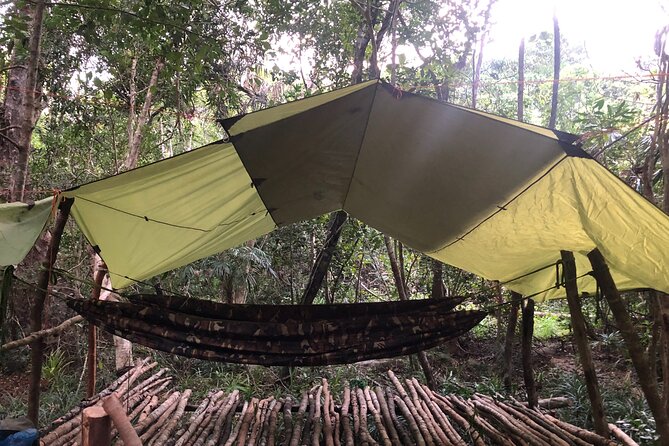 Trek Nui Chua Experience 2D1N, Night in the Jungle - Vinh Hy Bay - Itinerary Highlights