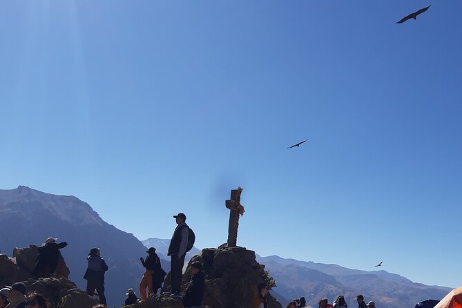Trekking At The Colca Colca 2day And 1nights - Itinerary and Highlights
