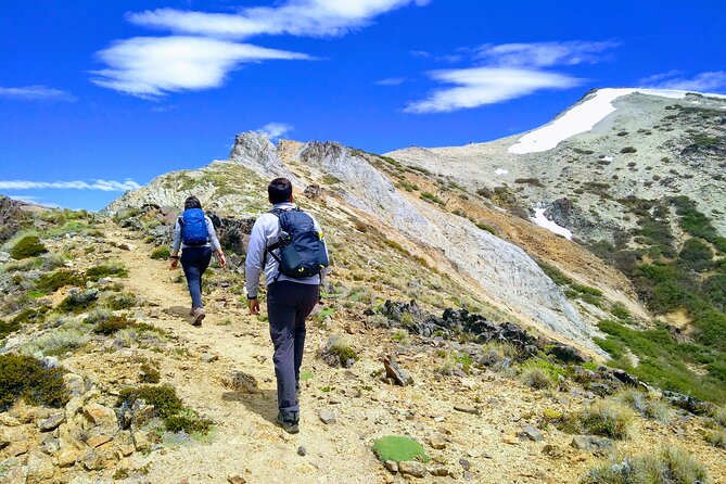 Trekking Day in Bariloche - Low/Medium/High Difficulty - Good To Know