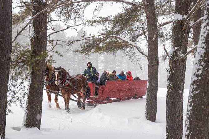 Tremblant Sleighride - Good To Know