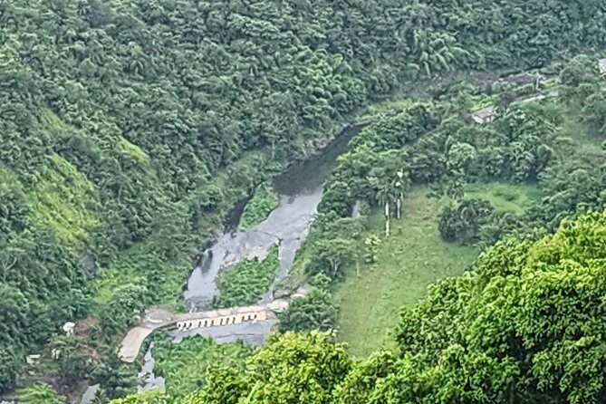 Tropical Rainforest Waterfalls & Panoramic Views Experience - Exploring the Tropical Rainforest