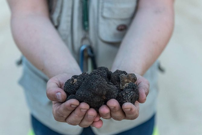 Truffle Hunting - Good To Know