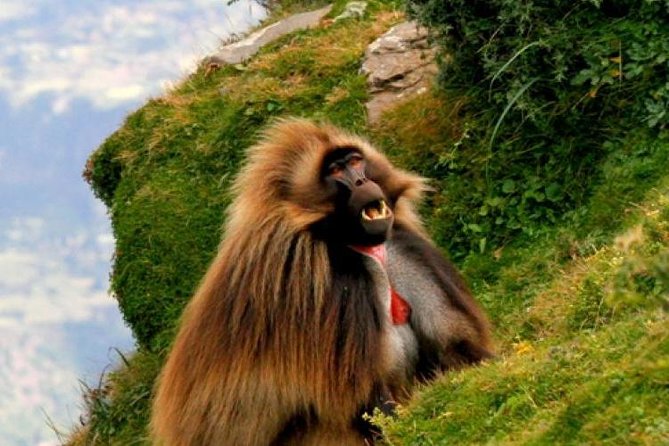 Two Days Lake Wenchi and Menagesha Forest - Tour Overview