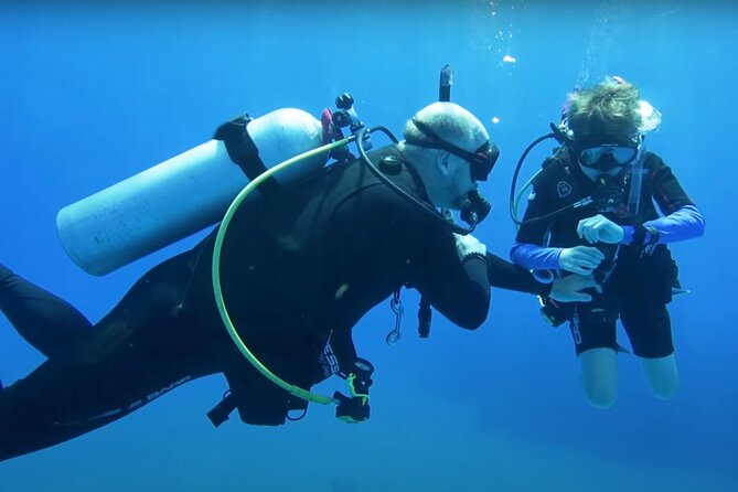 Two Dives in Fujairah for Certified Divers Including Transfers - Overview of the Experience