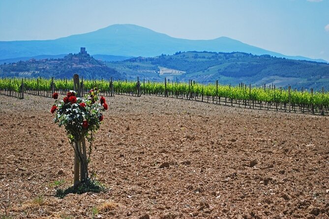 Val D Orcia Gourmet Food Tour From Siena - Good To Know