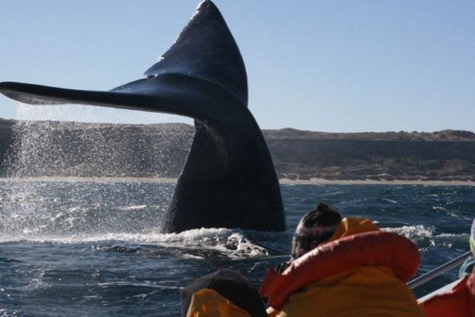 Valdés Peninsula - Full Day Excursion - About Your Stay