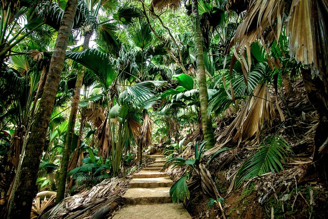Vallee De Mai Tour (From Praslin) - Good To Know