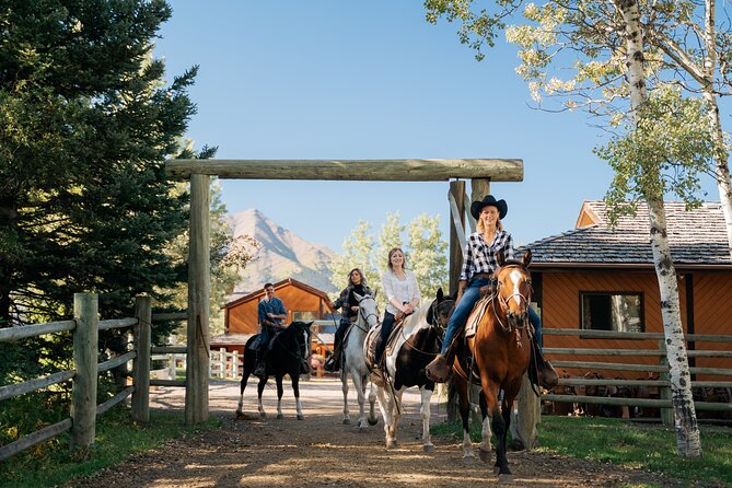 Valley Vista 1.5 Hour Horseback Trail Ride in Kananaskis - Good To Know