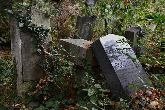 Vienna Central Cemetery Mobile Puzzle Rally Review - Key Points