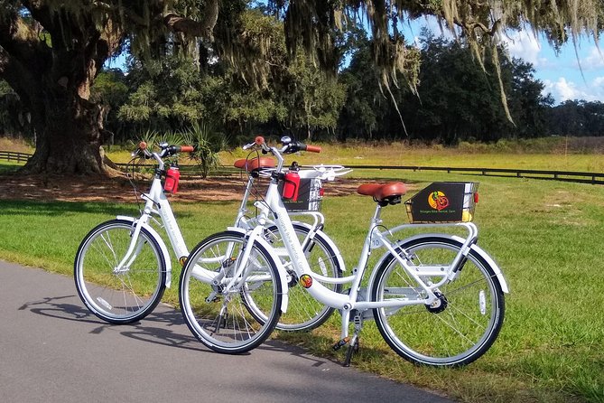 Village Bicycle Rental Free Delivery in The Villages Florida - Good To Know