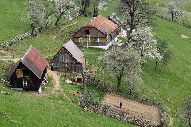 Village Life in Transylvanian Carpathian Mountains - 8 Days - Key Points
