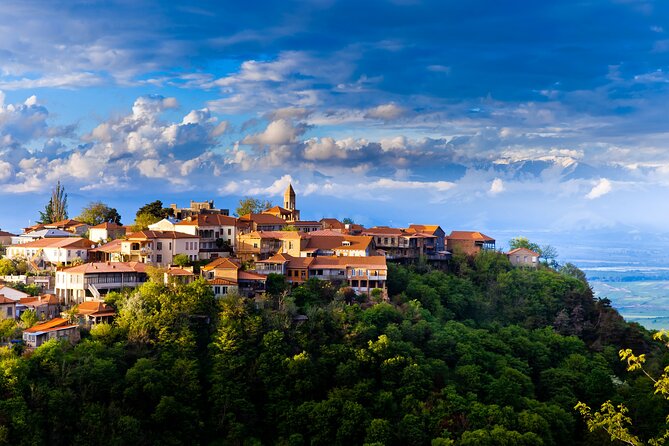 VIP DAY TRIP to Kakheti-Sighnaghi - BODBEH With WINE Tasting - Good To Know