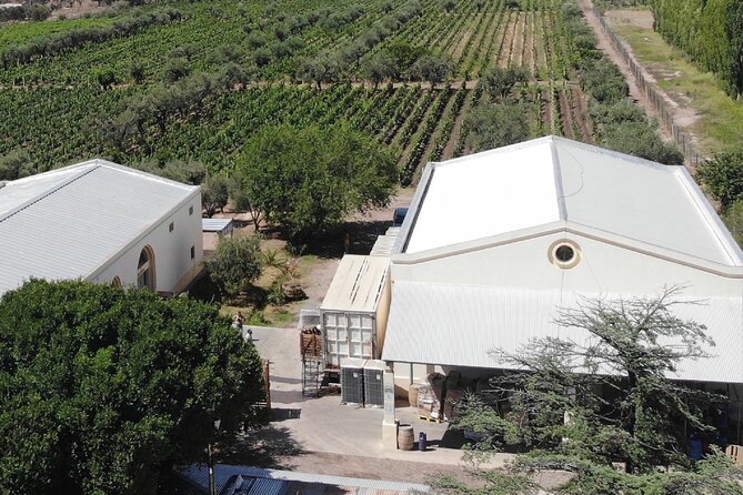 Visit 2 Wineries + Oil Factory. Lunch, Transportation Included. - About Your Stay