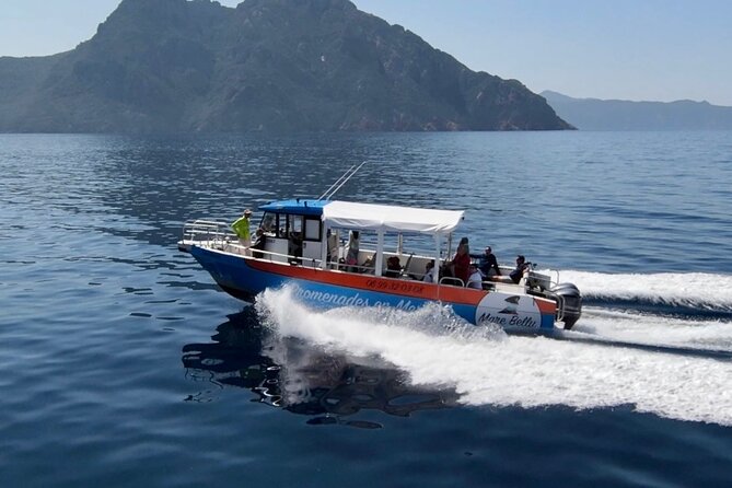 Visit by Boat to Piana Scandola With Swimming and a Stopover at Noon in Girolata - Good To Know