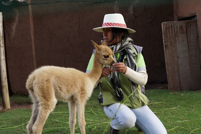 Voluntering at the Cochahuasi Sanctuary - About Your Stay