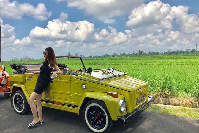 VW Safari,Bayan Ancient Tree,Jatiluwih,Wanagiri,Banyumala Twin Waterfalls - Good To Know